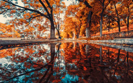 Осень, Пейзаж, Деревья, Отражение, Природа