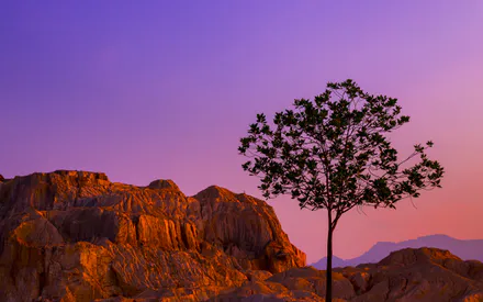 Rocks, Tree, Sky