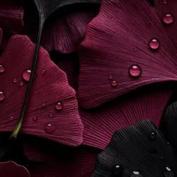 Темные пионы