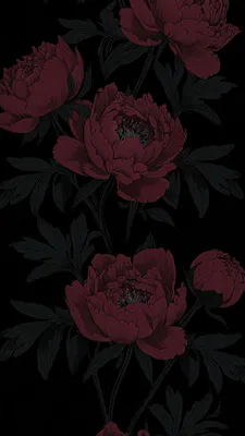 Пионы, Черный фон, Бордовые, Принт, Обои на телефон