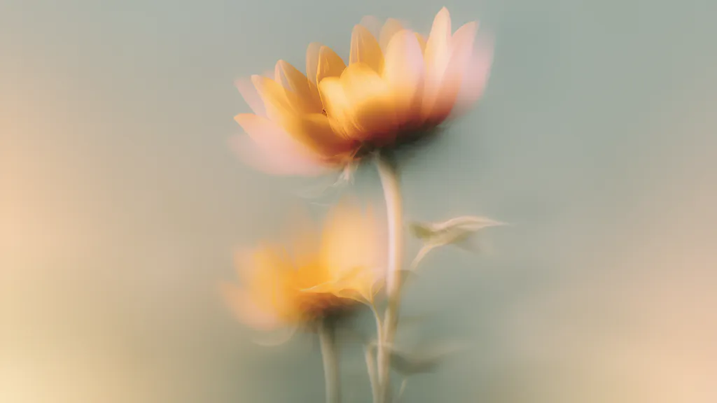 Обои на рабочий стол: Нежные цветы в мягком движении