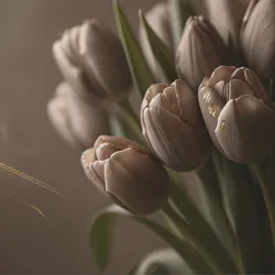 Темные пионы