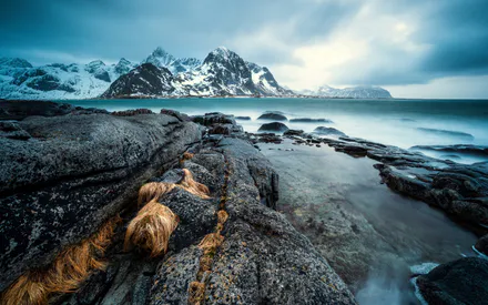 Лофотены, Норвегия, Побережье, Горы, Море, Скалы, Холодные тона, Пейзаж, Природа, Спокойствие
