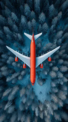 Самолет, Авиация, Зима, Лес, Аэрофото, Контраст