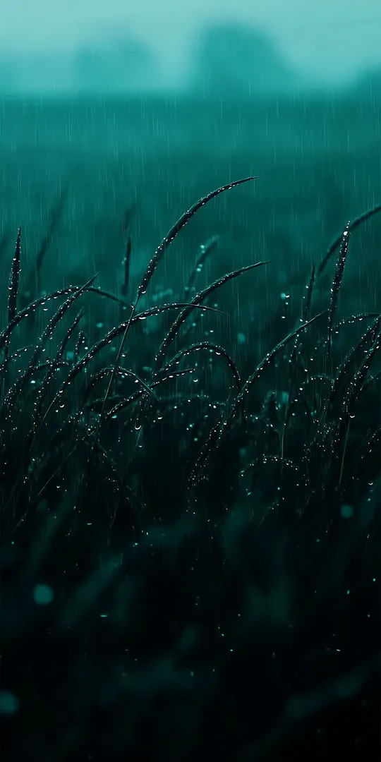 Обои на телефон: Стебли травы под темным бирюзовым дождем