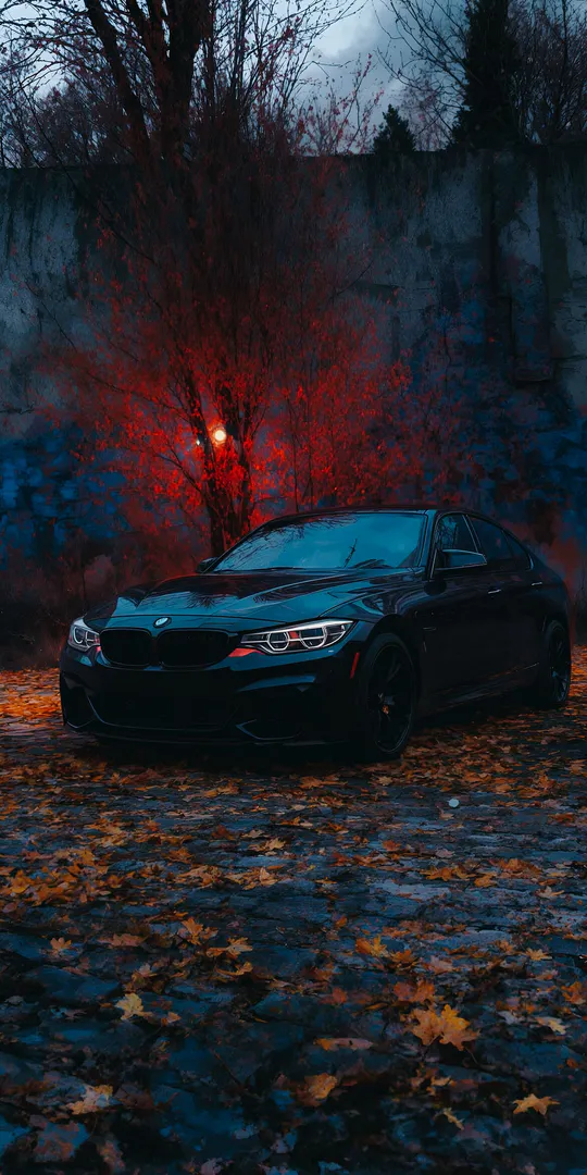 Обои на телефон: BMW в сумерках