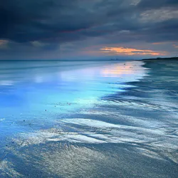 Sandy Paradise