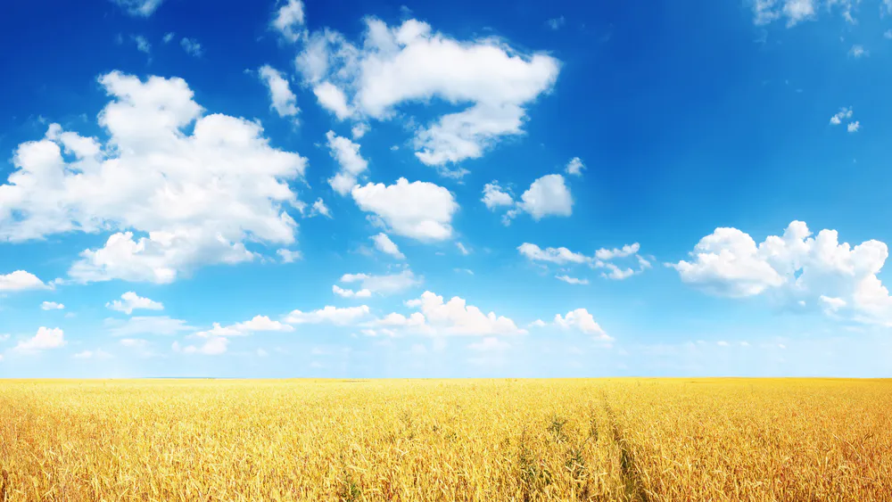 Wallpaper Field 1440x900