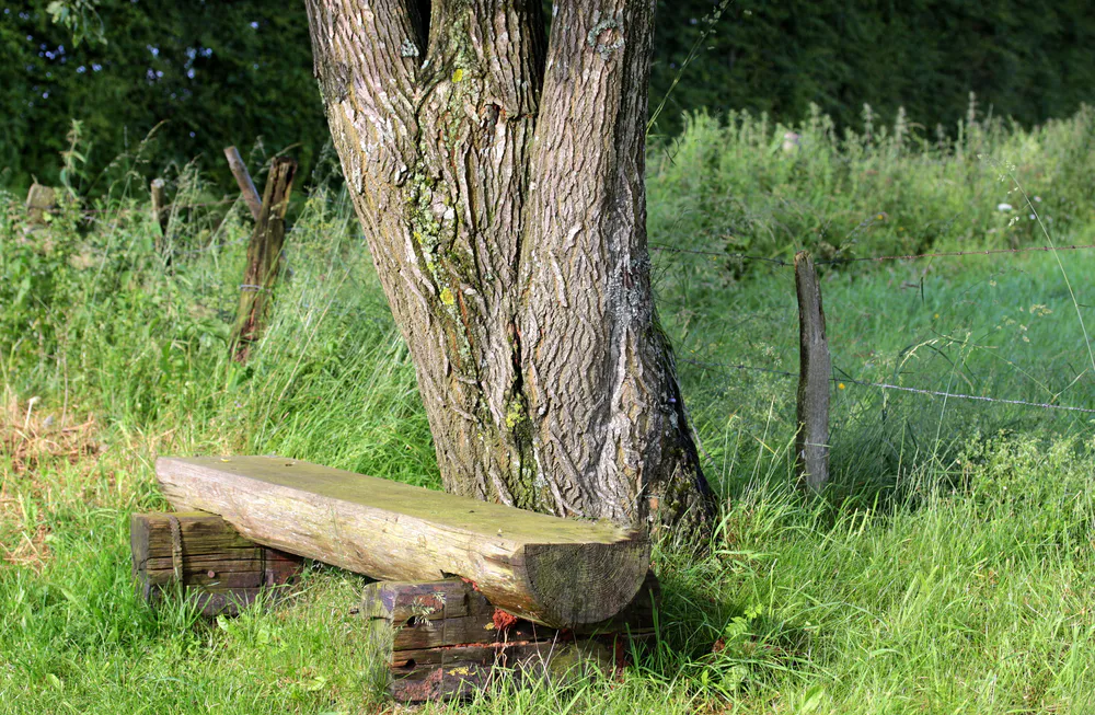 Wallpaper Bench 2560x1440