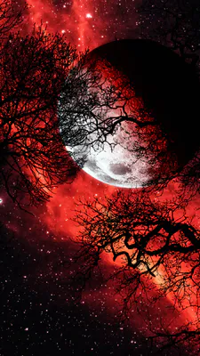 Moon, Starry Sky, Red Nebula, Silhouettes of Trees, Outer Space, Night Landscape, Stars