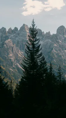 Горы, Горный пейзаж, Скалистые вершины, Хвойный лес, Ель, Горные облака, Горные скалы