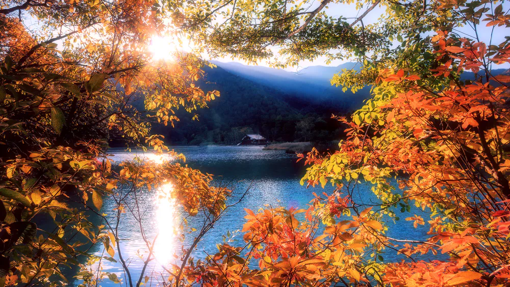 Wallpaper Nature 1680x1050