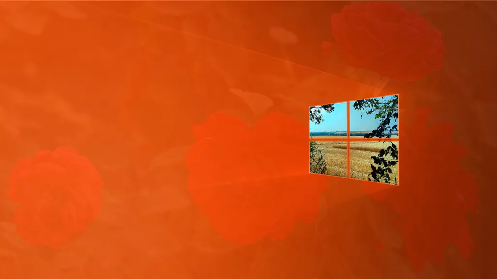 Windows summer. Windows summer