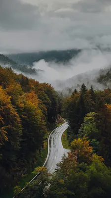 Пейзаж, Природа, Гори, Туман, Дорога, Осінь, Ліс, Хмари, Похмуро