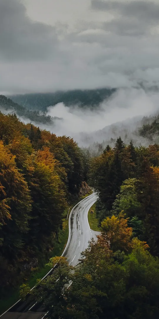 Phone wallpaper: Road to fog