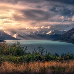 Дерево серед озера