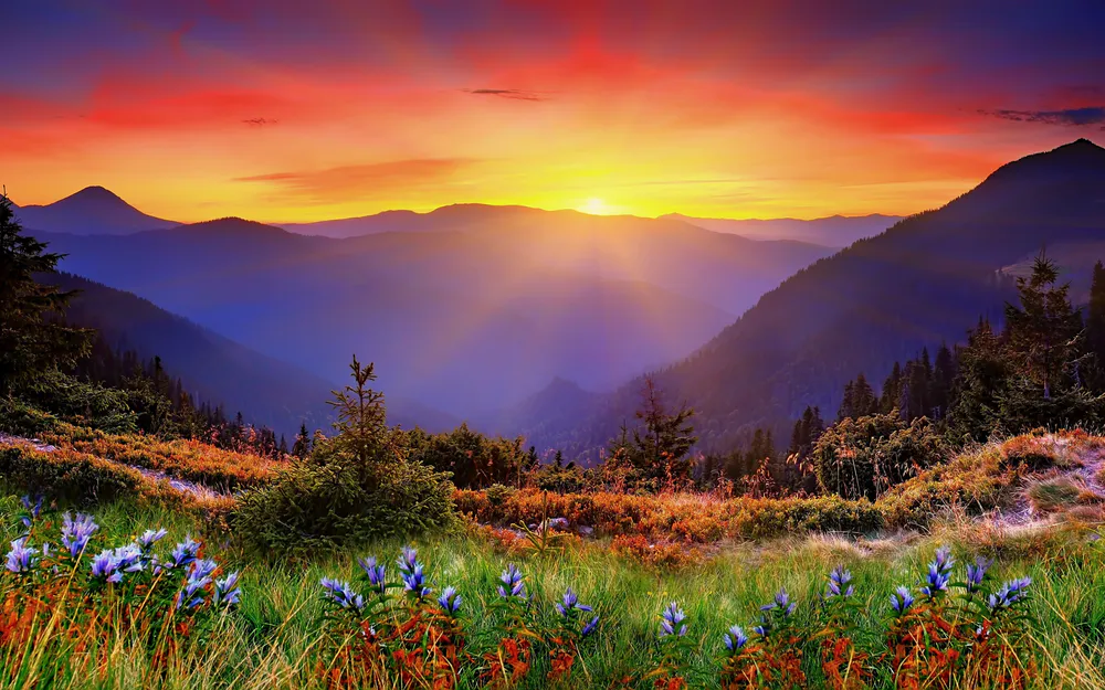 Wallpaper Sunset 1280x1024