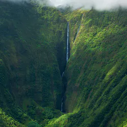 Зеленые горные леса