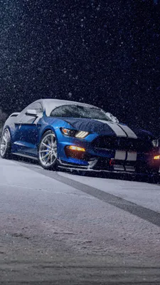 Ford Mustang GT350, Supercar, Sports Car, Winter, Atmospheric, Speed, Adrenaline, Blue Car