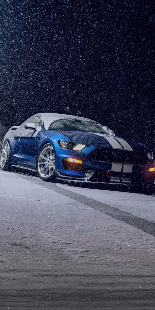 Phone wallpaper: Blue Ford Mustang GT350 in night snow
