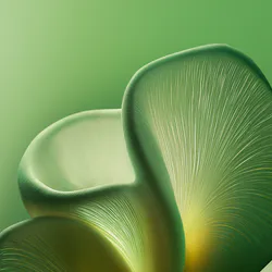 Структура хаосу