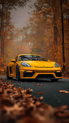 Porsche Cayman, Porsche 718, Car, Yellow Car, Supercar, Ahead View