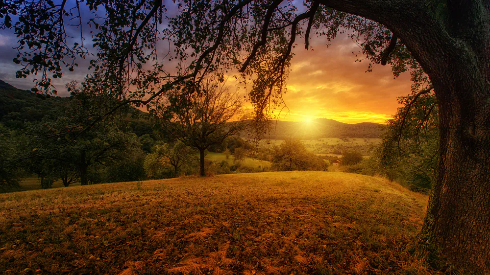 Wallpaper Sunset 1080x1920