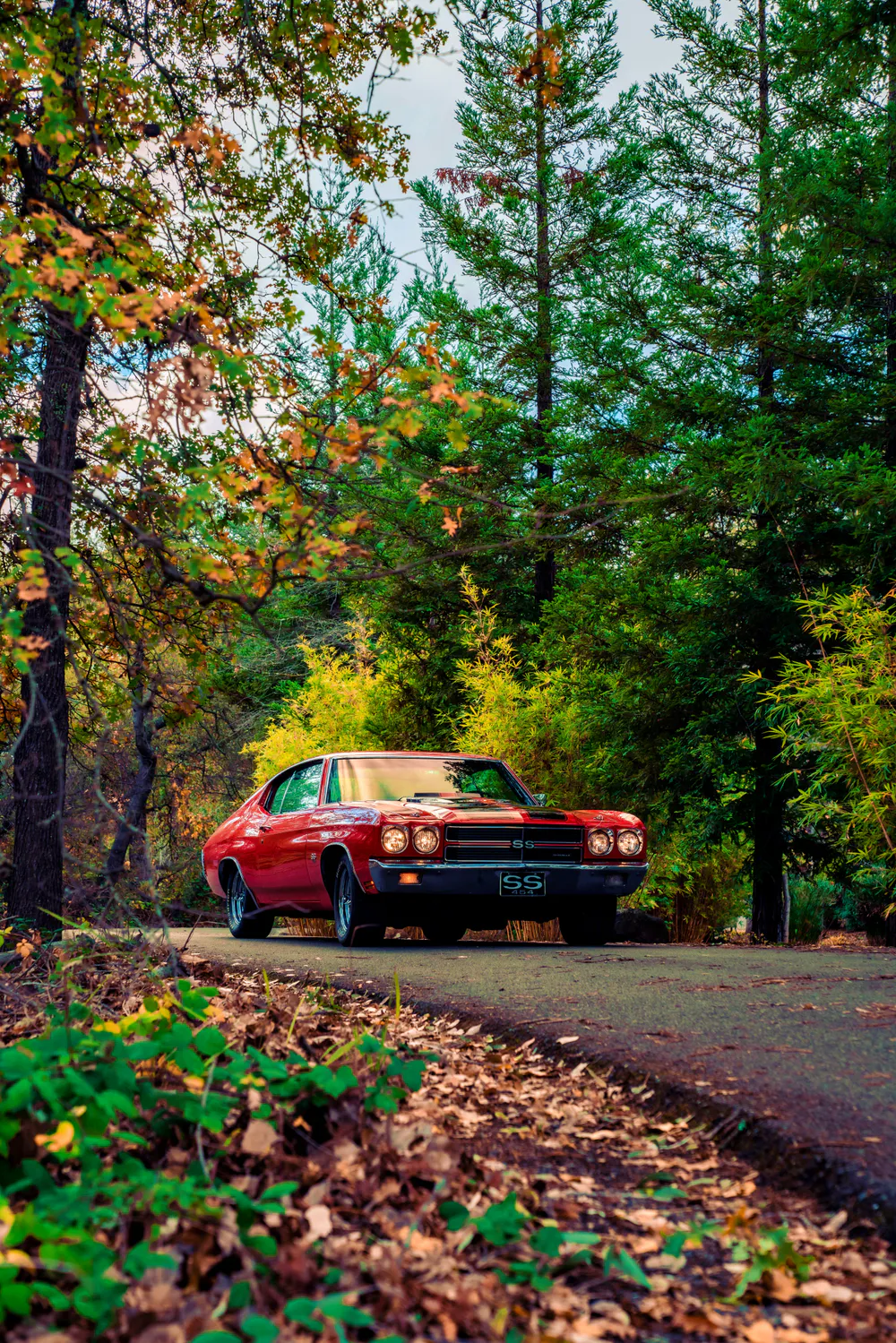 Wallpaper Chevrolet Chevelle SS 2400x1350