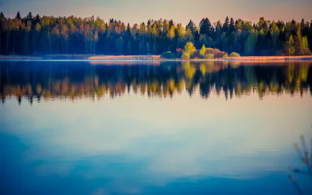 Річка, Горизонт, Ліс, Пейзаж, Роздуми