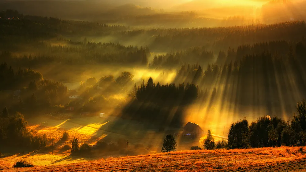 Обои Рассвет 1024x768