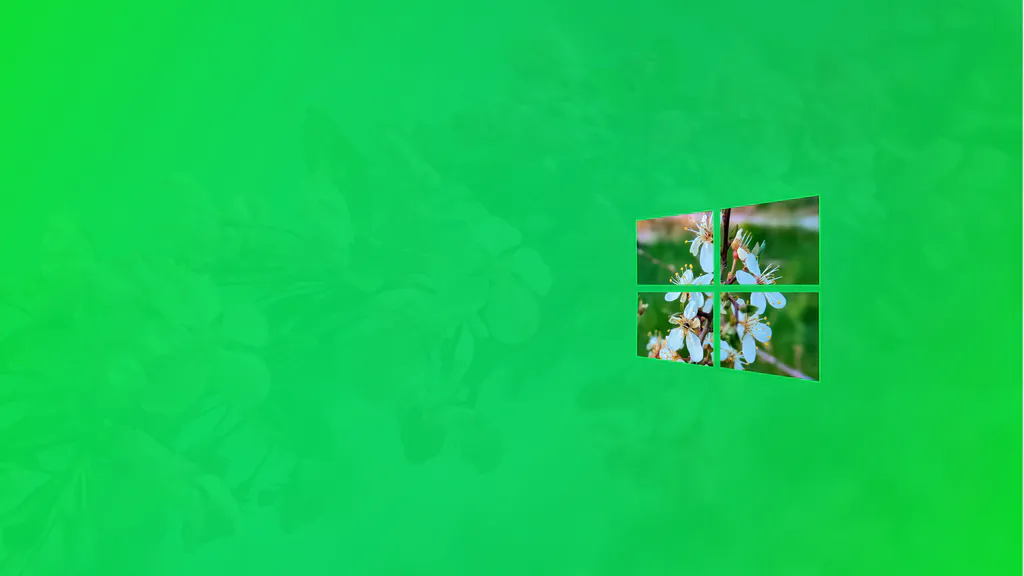 Window spring, Window, Spring, On the table (1920x1080) - Desktop ...
