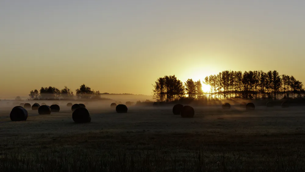 Wallpaper Field 2048x1536