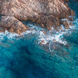 Waves