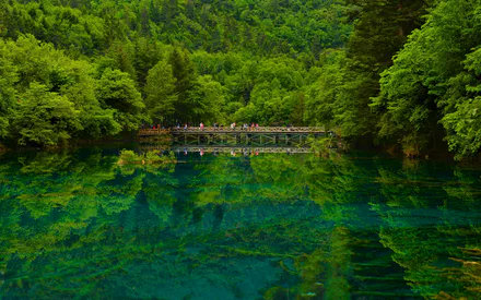Национальный парк, Пейзаж, Живописный пейзаж, Бирюзовая вода, Отражение, Река