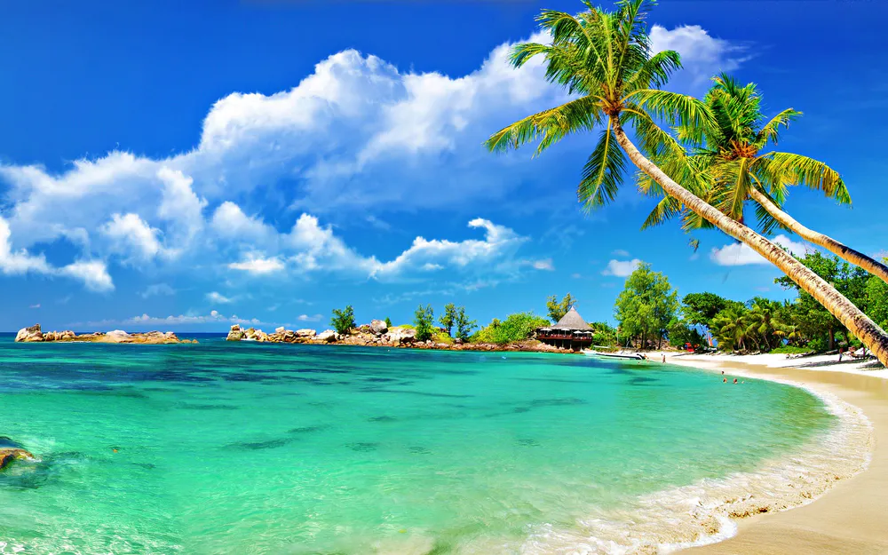 Wallpaper Tropical Beaches 1366x768