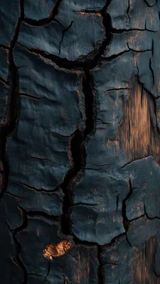 Wood, Texture, Cracks