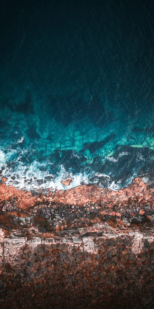 Phone wallpaper: Bird's eye