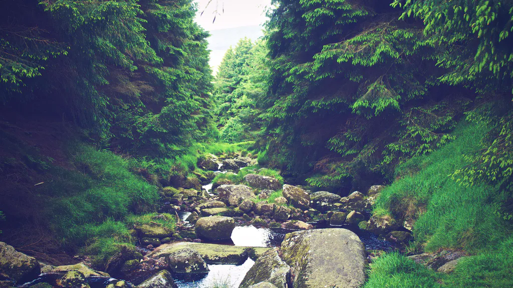Desktop wallpaper: Forest stream