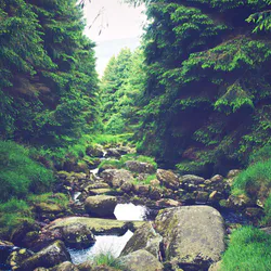 Mecklenburg Vorpommern