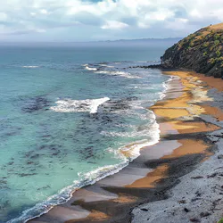 Птичий взгляд