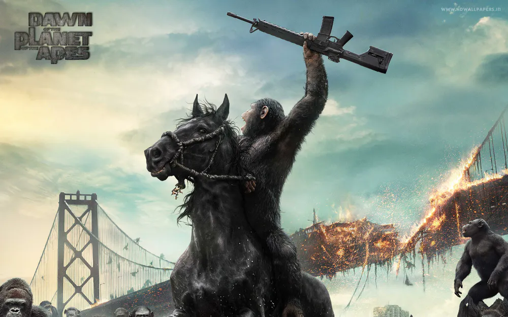 Обои Dawn of the Planet of the Apes Movie 360x640