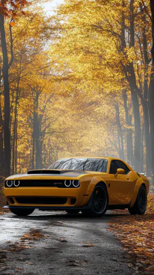 Dodge Challenger, Supercar, Yellow Car, Front View, Autumn League, Nature, Wide