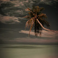 Мадагаскар