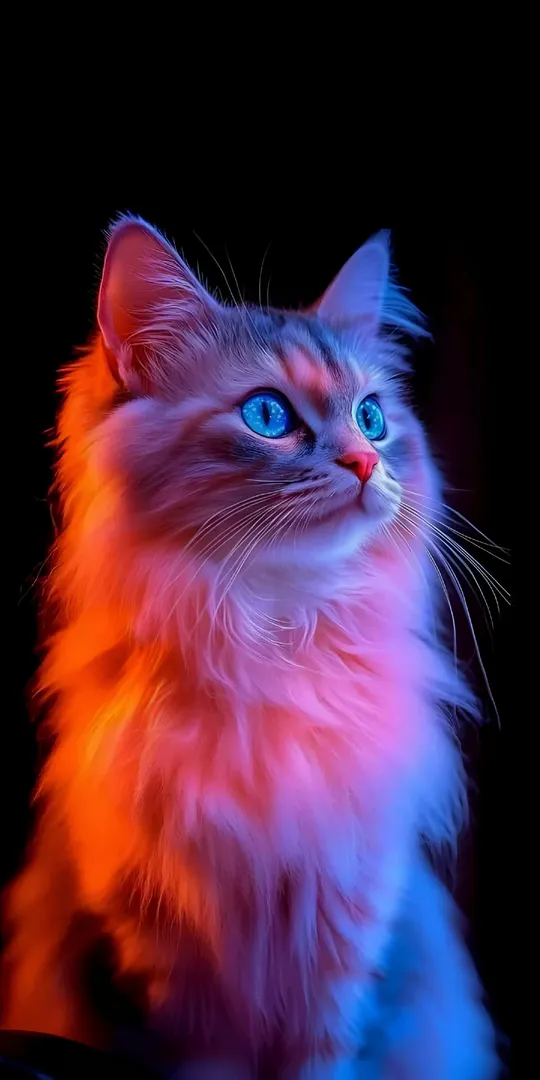 Phone wallpaper: Cat in neon