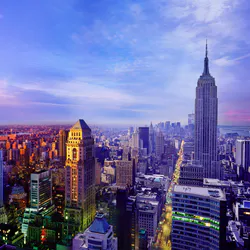 The bridge and the metropolis