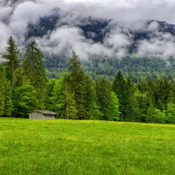 Bernese Alps