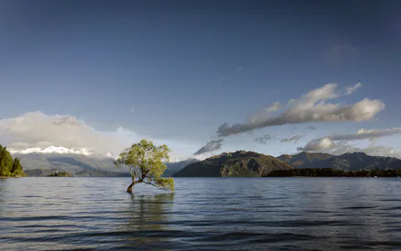 Lake, Wood, Landscape, Clouds, Sky, Vanaha