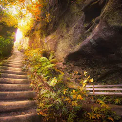 Landscape park