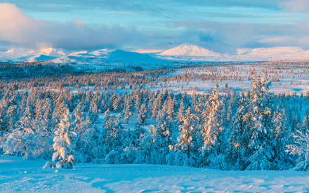 Зима, Сніг, Ліс, Пейзаж, Гори, Природа, Холод