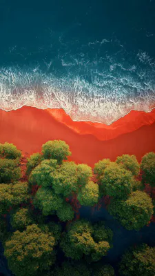 Океан, Море, Пляж, Красный песок, Деревья, Лес, Природа, Пейзаж, Вид сверху, Волны, Вода, Контраст, Вертикальный, Берег